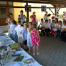 Entente Florale Day Mosonmagyaróvár - Virágzó Város Mosonmagyaróvár (Fotó: Bánhegyi István)