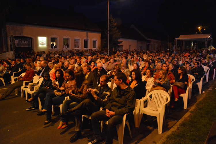 Budafoki Dohnányi Zenekar - Havasi Balázs (Fotó: Nagy Mária)