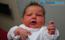 Horváth Kata, 3380 gr. Jánossomorja