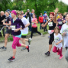 XII. Greiner Szigetköz Minimaraton (Fotó: Horváth Attila)