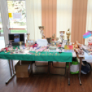 XIX. Mosonmagyaróvári Civil Nap 