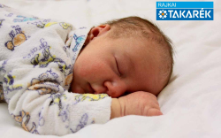 Gál Zétény, Mosonmagyaróvár