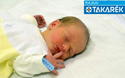 Bükki Nimród, Kapuvár