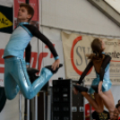 Szigetköz ízei, Vármegye borai Fesztivál 3 nap, 140 Éves Mosonmagyaróvár Város Tűzoltósága (Fotó: Bánhegyi István)