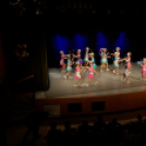 Jótékonysági műsor - Fehér és Máltai Szeretetszolgálat az Éltes iskola javára (Fotó: Horváth Attila)