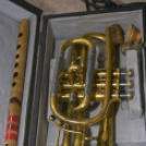 Lengyel-Magyar Nap a Hansági Múzeumban