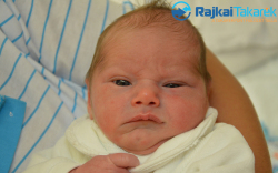 Schwendtner Bence, 2910 gr. Halászi