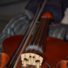 A Lajta Néptánc Együttes tavaszi műsora (Fotó: Bánhegyi István)