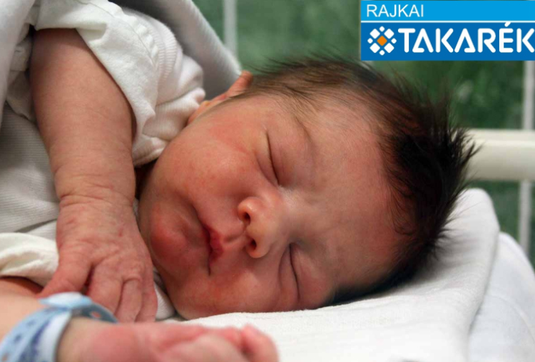 Szabó-Koller Bence, Mosonmagyaróvár