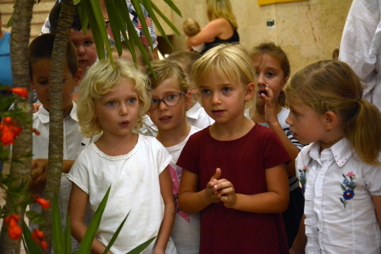 Termény- és virágkiállítás 