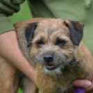 Agility Attilával (Fotó: Nagy Mária)