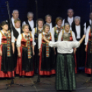 Dan Hrvata, Horvát Nap