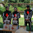 IV. Karolina Day (Fotó: Nagy Mária)