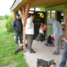 Agility Attilával (Fotó: Nagy Mária)