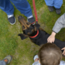 Pillangó Óvoda gyermeknap 2