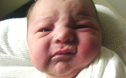 Tarsoly Levente-Levél