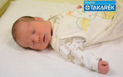 Szabolcsi László, Újrónafő