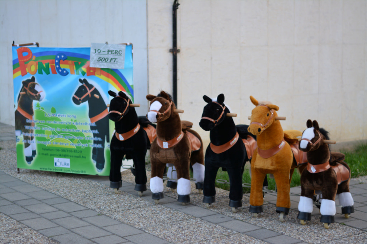 Városközpontiak napja péntek (Fotó: Nagy Mária)
