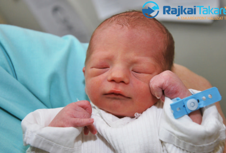 Böcskei Benedek, 2470 gr. Máriakálnok