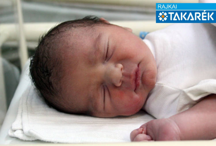 Tóth Patrik, Csorna