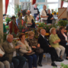 Legszebb konyhakertek (Fotó: Nagy Mária)