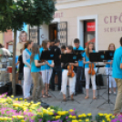 Belvárosi virágút (Fotó: Nagy Mária)