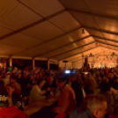 Szigetköz Ízei, Vármegye borai Fesztivál (péntek) (Fotó: Horváth Attila)