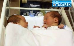 Bálintfi Csongor, Bálintfi Lehel, Hegyeshalom