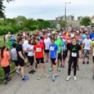 XII. Greiner Szigetköz Minimaraton (Fotó: Horváth Attila)