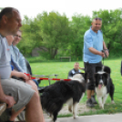 Agility - Hobby Kutyások részére (Fotó: Nagy Mária)