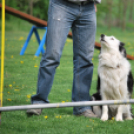 Agility - Hobby Kutyások részére (Fotó: Nagy Mária)